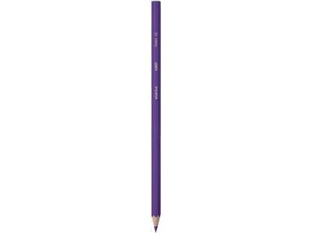 BIC KIDS Crayon de couleur Evolution ecolutions, étui de 12