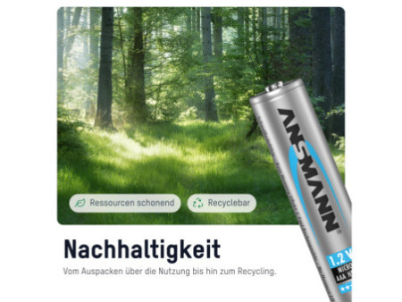 ANSMANN Pile rechargeable NiMH maxE, Micro (AAA), 800 mAh