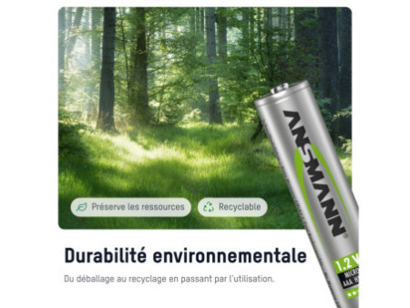 ANSMANN NiMH maxE DECT blue, Micro AAA, 800 mAh, blister 2