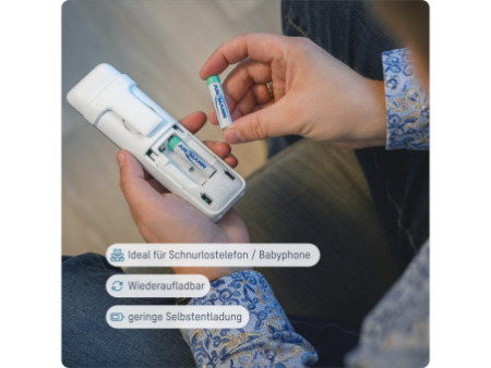ANSMANN Pile rechargeable NiMH SPECIAL, Mignon AA, 800 mAh