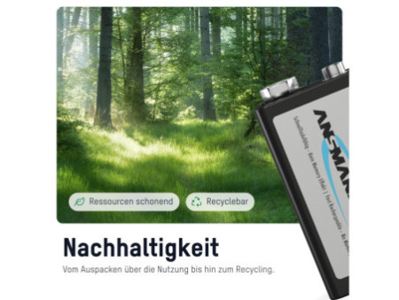 ANSMANN Pile rechargeable NiMH maxE, bloc E 9V, 300 mAh