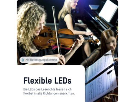ANSMANN Lampe de lecture Twinflex, couleur: noir