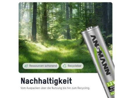 ANSMANN Pile rechargeable NiMH, maxE Micro AAA, 550 mAh