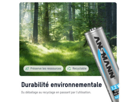 ANSMANN Pile rechargeable NiMH, maxE Micro AAA, 800 mAh
