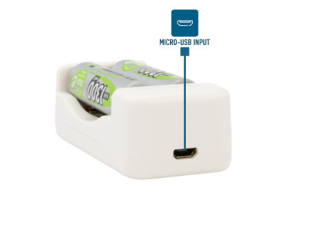 ANSMANN Chargeur de piles Basic II, 2x piles AA 1.300 mAh