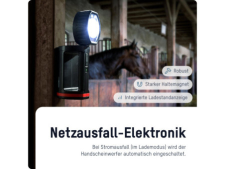 ANSMANN Projecteur portable LED HS20R Pro, noir/rouge