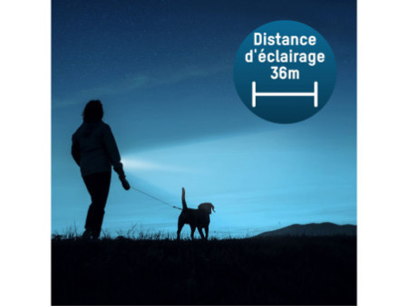 ANSMANN Lampe de poche LED, Daily Use 50B, argent/noir