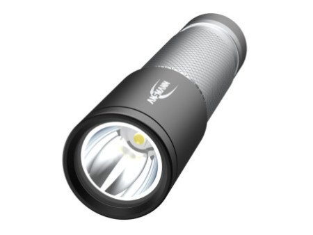 ANSMANN Lampe de poche LED, Daily Use 70B, argent/noir