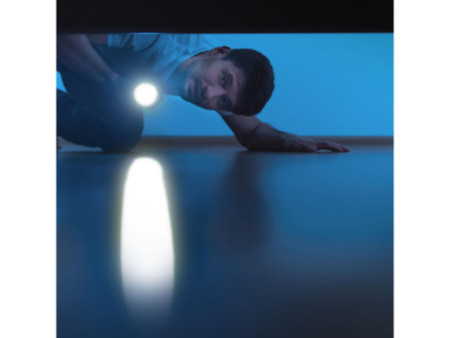 ANSMANN Lampe de poche LED, Daily Use 70B, argent/noir