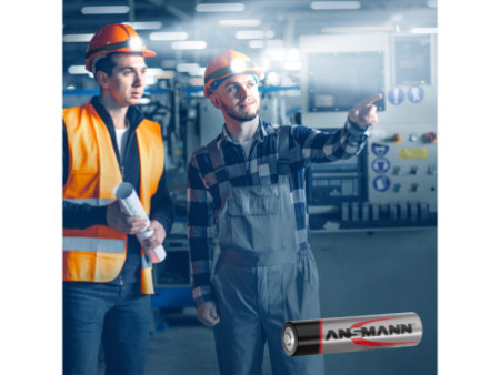 ANSMANN Pile alcaline, Micro AAA, lot de 100