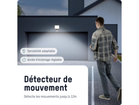 ANSMANN Projecteur mural à LED LUMINARY WFL10W-S, détecteur