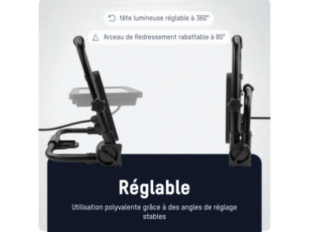 ANSMANN Projecteur à LED LUMINARY BASE FL20W-AC, IP65