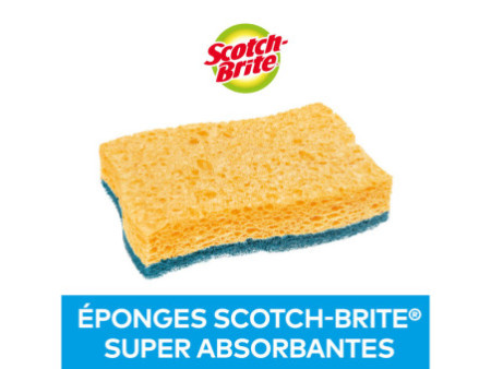 Scotch-Brite Eponge grattante non rayante Delicate