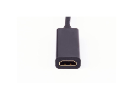 shiverpeaks BASIC-S Adaptateur 1.4, DisplayPort - HDMI