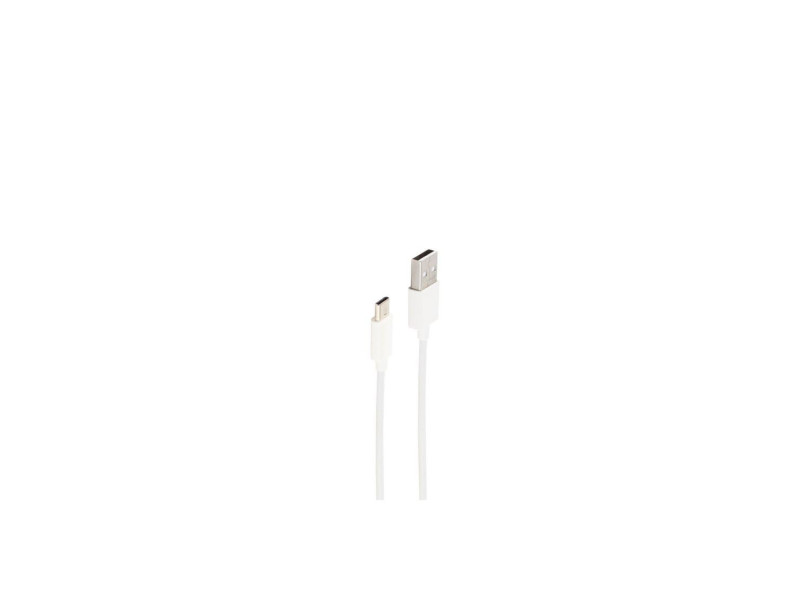 shiverpeaks Câble de données et de charge BASIC-S, 1 m