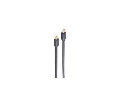 shiverpeaks BASIC-S Câble d'alimentation mini DisplayPort