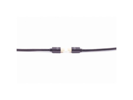 shiverpeaks BASIC-S Câble d'alimentation mini DisplayPort