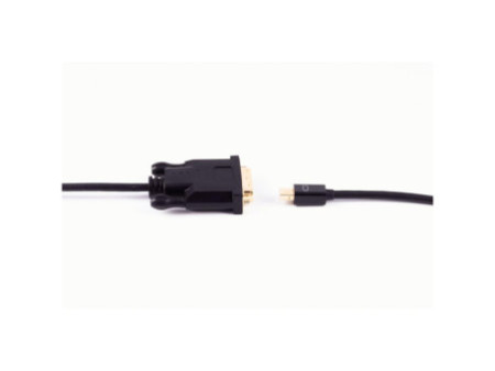 shiverpeaks Câble BASIC-S Mini DisplayPort - DVI-D 24+1