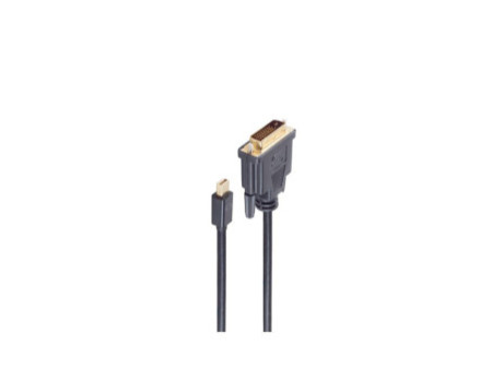 shiverpeaks Câble BASIC-S Mini DisplayPort - DVI-D 24+1
