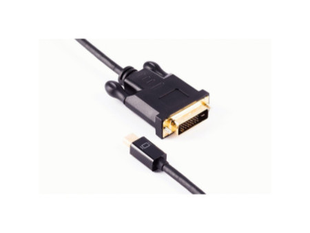 shiverpeaks Câble BASIC-S Mini DisplayPort - DVI-D 24+1