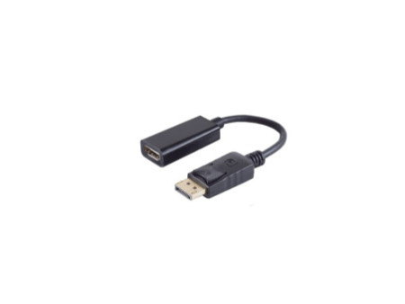 shiverpeaks BASIC-S Adaptateur, DisplayPort - HDMI
