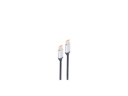 shiverpeaks Câble de raccordement DisplayPort, 1,5 m