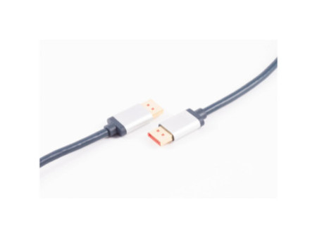 shiverpeaks Câble de raccordement DisplayPort, 1,5 m