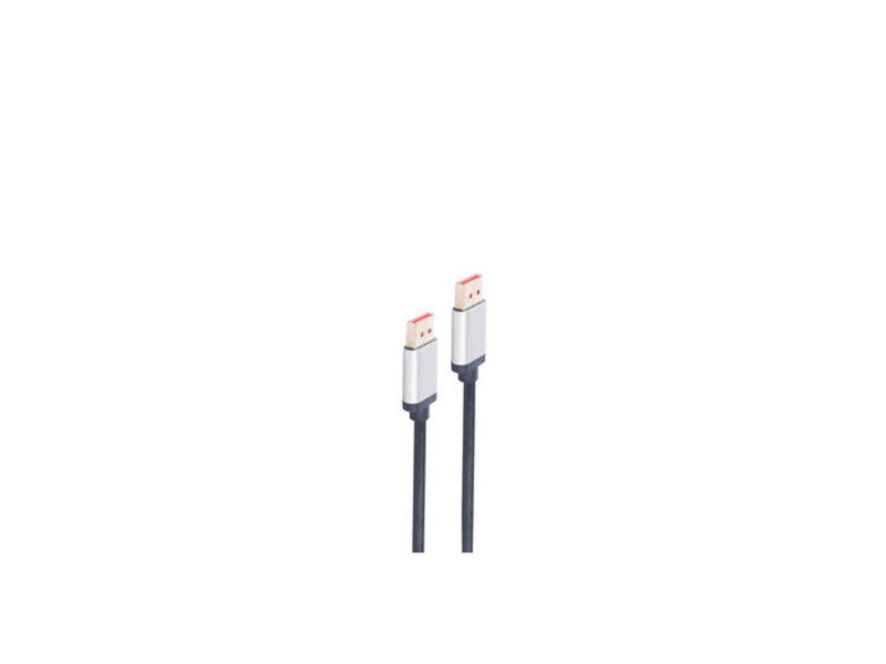 shiverpeaks Câble de raccordement DisplayPort, 2 m