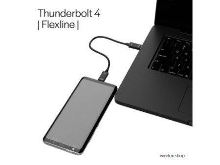 FLEXLINE Câble de raccordement USB, USB-C - USB-C, 2,0 m