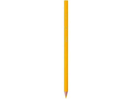 BIC KIDS Crayons de couleur Evolution ecolutions, boîte en