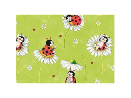 SUSY CARD Papier cadeau 'Captain Hook', sur rouleau