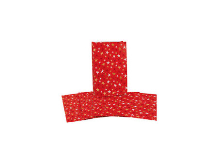 CACTUS Pochette cadeau de Noël 'Étoiles', (L)100 x (H)160 mm