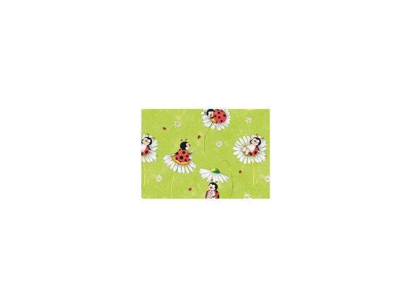 SUSY CARD Papier cadeau 'Cadeaux multicolores', sur rouleau