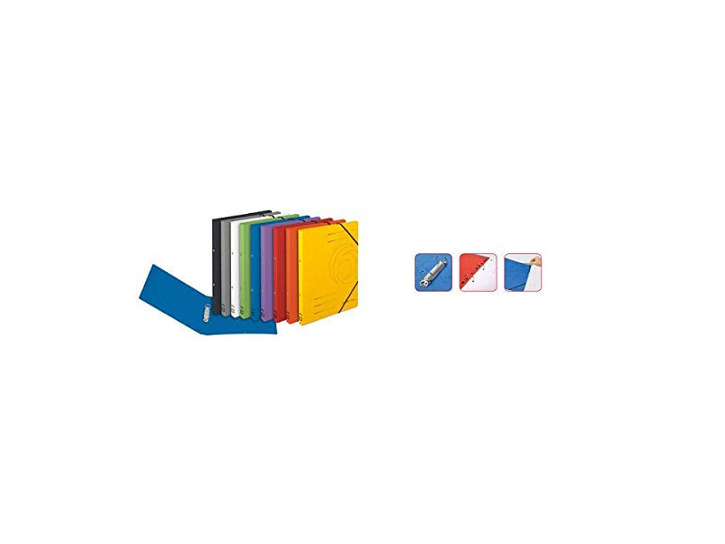 herlitz Classeur à anneaux easyorga, A4, carton