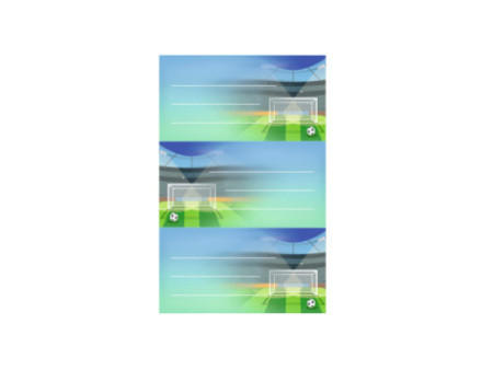 herlitz Étiquettes pour livres Football, 76 x 35 mm