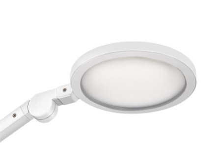 CEP Lampe de bureau LED GIANT Silva, chêne/blanc