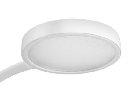 CEP Lampe de bureau LED FLEX Silva, chêne/blanc