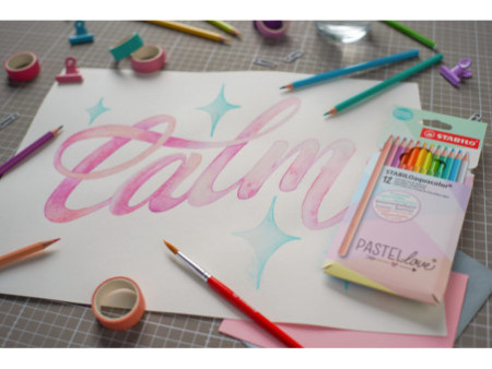 STABILO Crayon de couleur aquacolor Pastellove, étui de 12