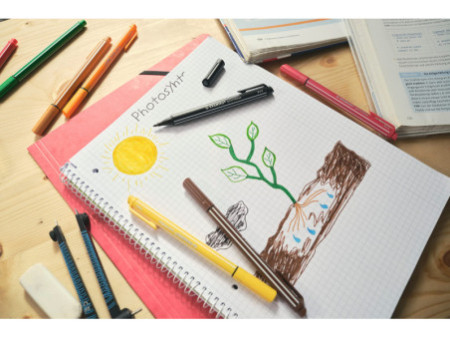 STABILO Feutre pointMax by Snooze One, étui carton de 15