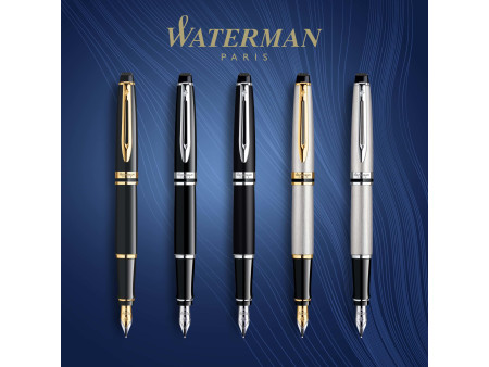 WATERMAN Stylo plume Expert Laque Noire C.T.