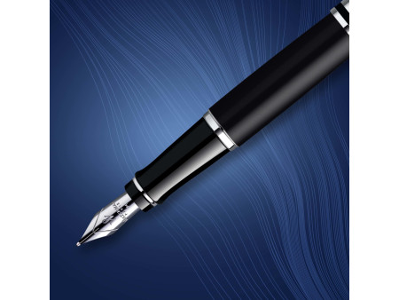 WATERMAN Stylo plume Expert, Matt Black C.T.