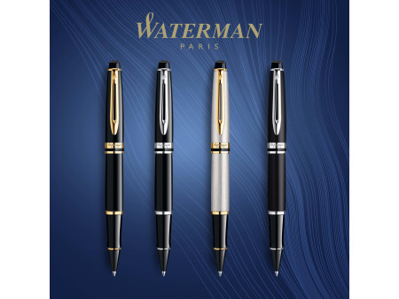 WATERMAN Stylo roller Expert, Mat C.C., noir