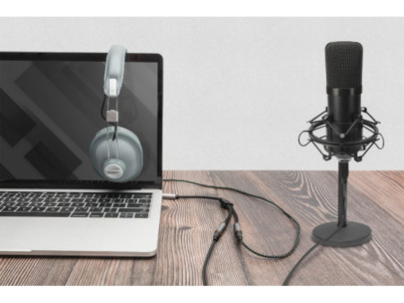 DIGITUS Répartiteur audio, jack mâle 3,5 mm -