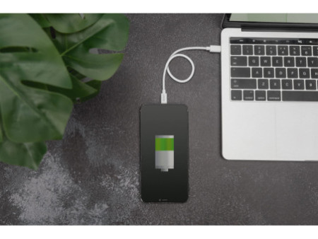 DIGITUS Câble de données & charge, Apple Lightning - USB-C