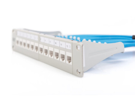 DIGITUS Panneau de brassage modulaire 10', 12 ports, gris