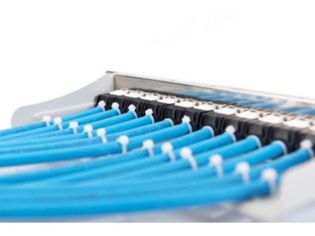 DIGITUS Panneau de brassage modulaire 10', 12 ports, gris