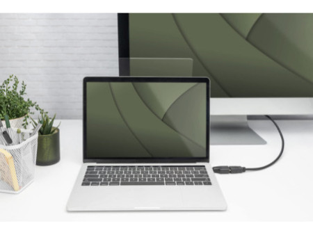 DIGITUS Adaptateur USB 4K, USB-C mâle - HDMI A/B femelle