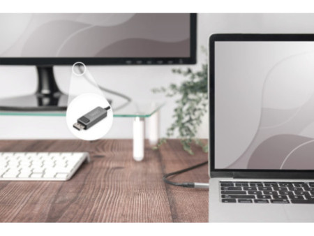 DIGITUS Câble adaptateur bidirectionnel USB type C - DP, 2 m
