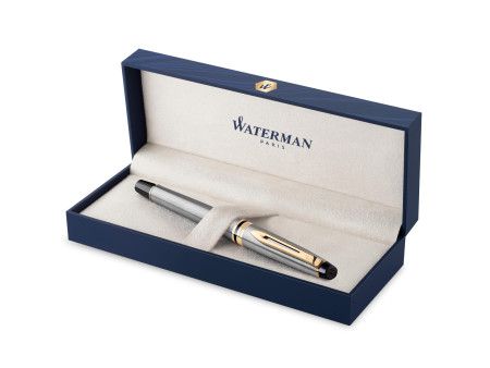 WATERMAN Stylo plume Expert, Metallic G.T.