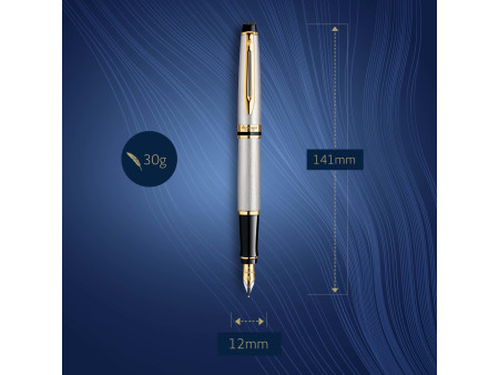 WATERMAN Stylo plume Expert, Metallic G.T.